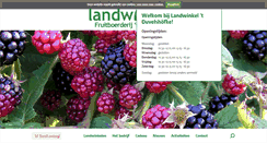 Desktop Screenshot of duvelshofke.nl